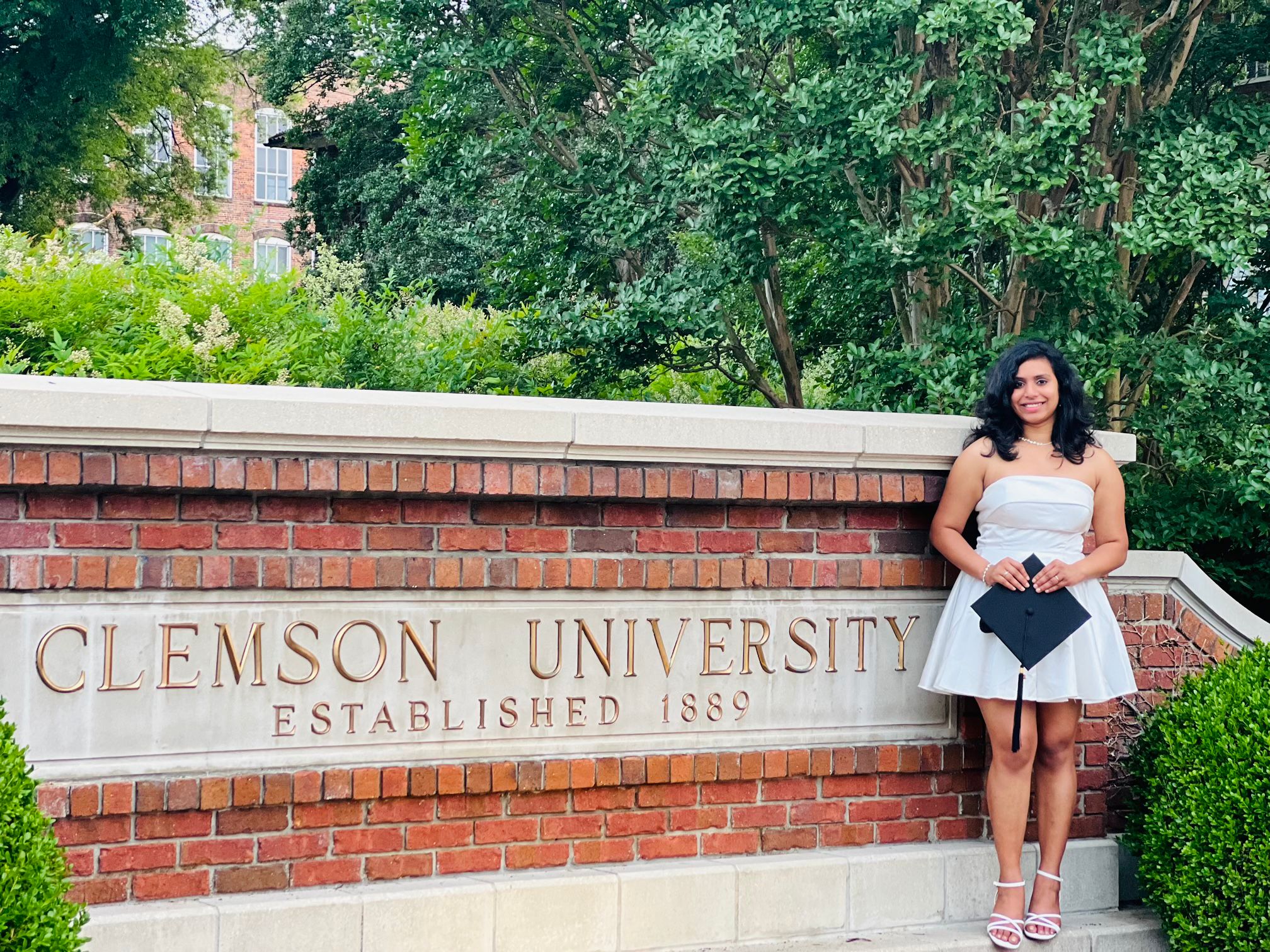 Clemson University Sign